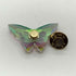 スワロフスキー SWAROVSKI MAGNET BUTTERFLY VIOLET S オーナメント レディース