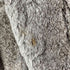 fur jacket ファージャケット レディース