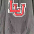 チャンピオン Champion 00S ECO FLEECE カレッジロゴプリント プルオーバーパーカー メンズ import:XL