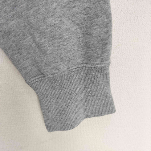 ザノースフェイス THE NORTH FACE BACKMAGIC バックマジック フロントバックプリントロゴ プルオーバーパーカー メンズ JPN:M