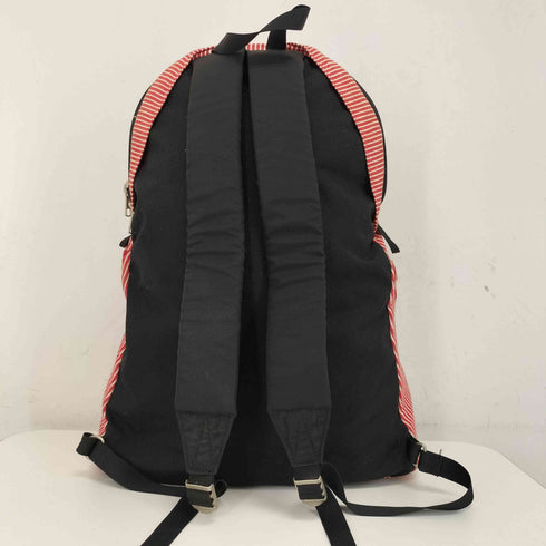 ケルティ KELTY ヒッコリー柄バックパック レディース