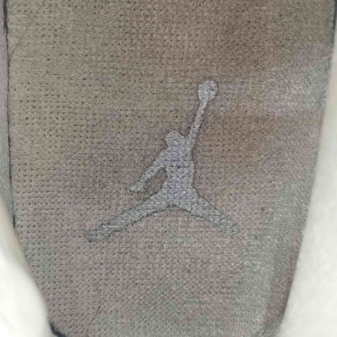 ジョーダンブランド JORDAN BRAND Air Jordan 4 Pure Money ピュア マネー メンズ JPN:26.5
