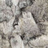 fur jacket ファージャケット レディース