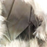 fur jacket ファージャケット レディース