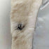 fur jacket ファージャケット レディース JPN:11号