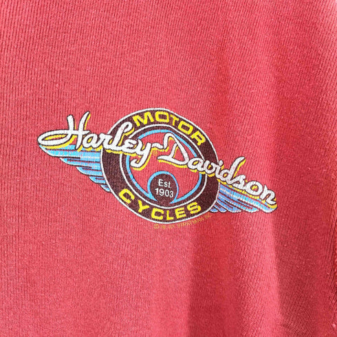 ハーレーダビッドソン HARLEY-DAVIDSON 90S 両面プリント ヘンリーネック ロングスリーブ Tシャツ メンズ import:XL