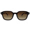 レイバン Ray-Ban 4458D ウェリントン グラデーション ポラライズド サングラス メンズ 65□18 145