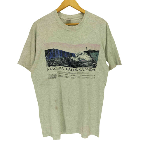 フルーツオブザルーム FRUIT OF THE LOOM 90S USA製 シングルステッチ フロントプリント クルーネック Tシャツ メンズ import:L