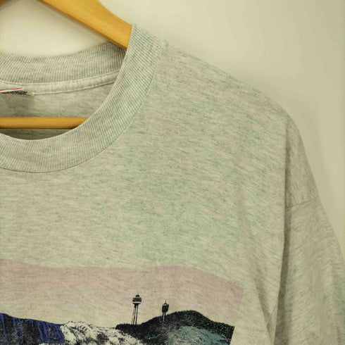 フルーツオブザルーム FRUIT OF THE LOOM 90S USA製 シングルステッチ フロントプリント クルーネック Tシャツ メンズ import:L