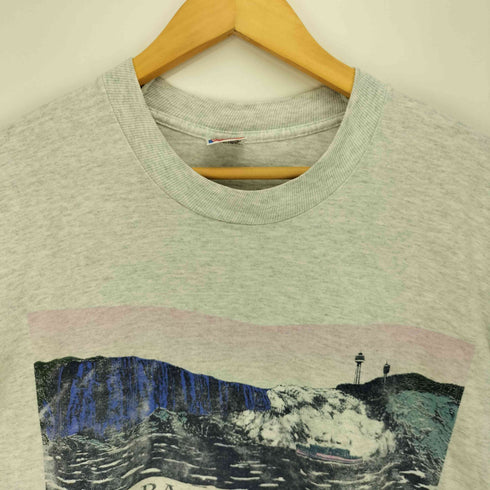 フルーツオブザルーム FRUIT OF THE LOOM 90S USA製 シングルステッチ フロントプリント クルーネック Tシャツ メンズ import:L