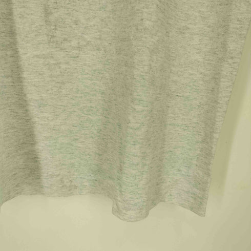 フルーツオブザルーム FRUIT OF THE LOOM 90S USA製 シングルステッチ フロントプリント クルーネック Tシャツ メンズ import:L