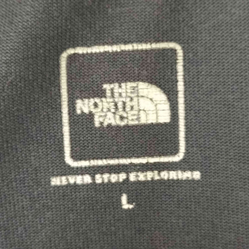 ザノースフェイス THE NORTH FACE S/S NATIONAL FLAG SQUARE LOGO ショートスリーブ ナショナル フラッグ スクエア ロゴ ティー メンズ import:L