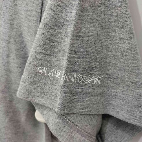ステューシー Stussy 90s 紺タグ フロントロゴ プリントTシャツ メンズ import:S