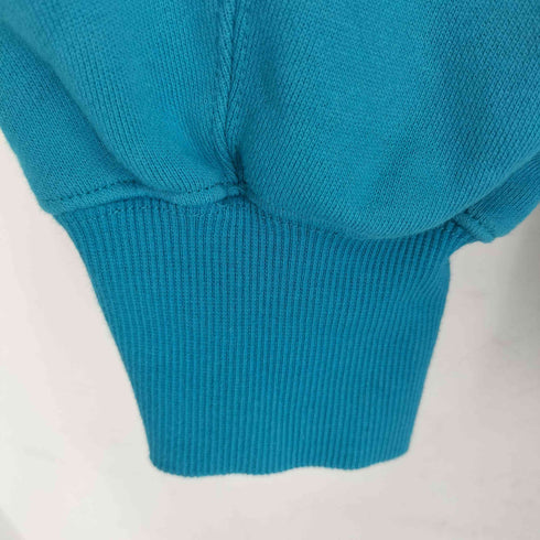 ザノースフェイス THE NORTH FACE トランスアンタークティカフーディ メンズ import:XL