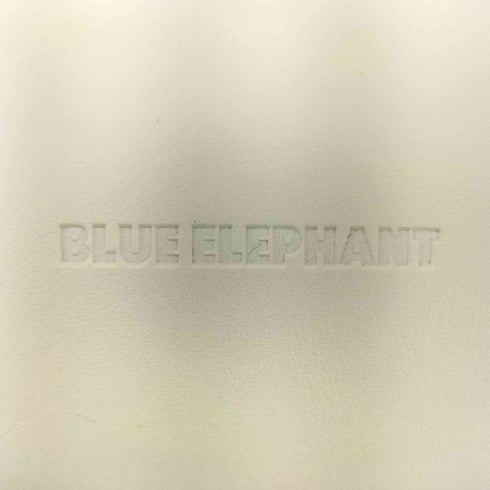 BLUE ELEPHANT ブルーエレファント ARZA BLACK アル―ザブラック オーバルサングラス メンズ 54□21-126