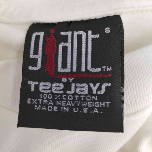 GIANTボディ TEEJAYS USA製 ぼかしシルエット コットン クルーネック半袖Tシャツ メンズ import:S