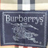 バーバリーズ BURBERRYS 玉虫 裏地ノバ 比翼ステンカラーコート メンズ 165
