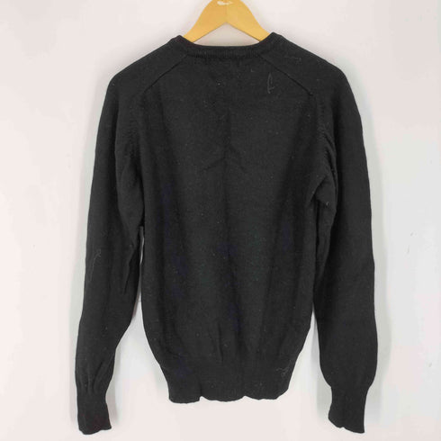 ポロバイラルフローレン Polo by RALPH LAUREN スモールポニー刺繍 Vネックセーター メンズ M