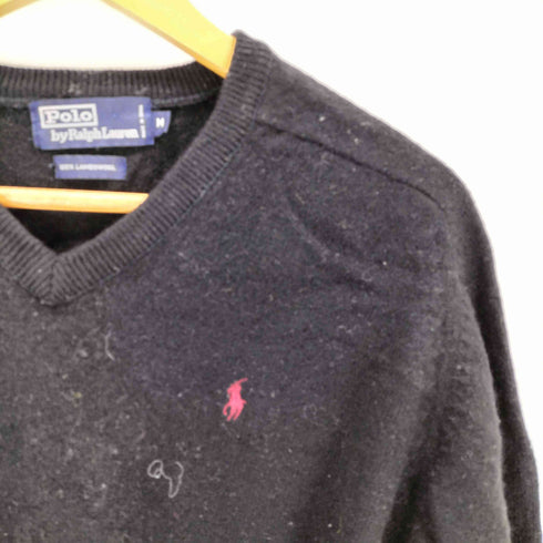 ポロバイラルフローレン Polo by RALPH LAUREN スモールポニー刺繍 Vネックセーター メンズ M