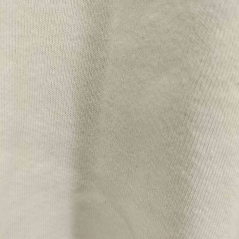 00S FRUIT OF THE LOOM ボディ GARDEN OF THE GODS クルーネック スウェット メンズ import:XL
