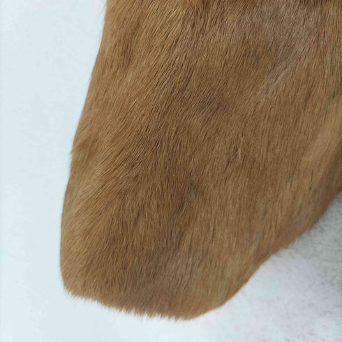 real fur リアルファー ジャケット レディース