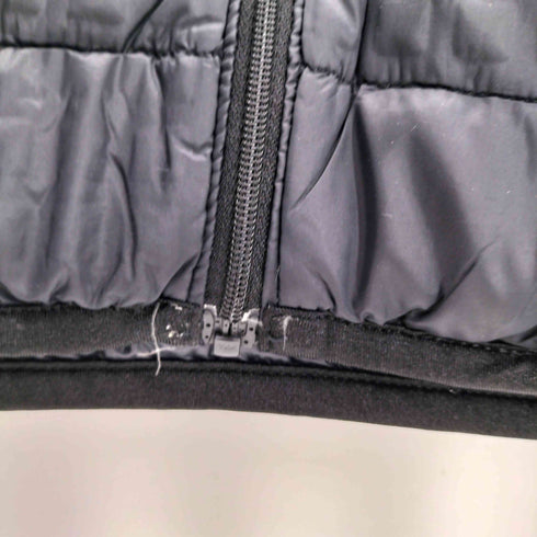 ユニクロ UNIQLO ウルトラライトダウン メンズ import:L