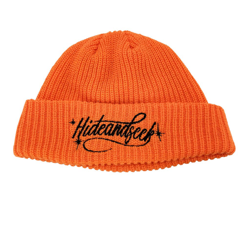 ハイドアンドシーク HIDE AND SEEK Cursive Logo Knit Cap ニット キャップ メンズ