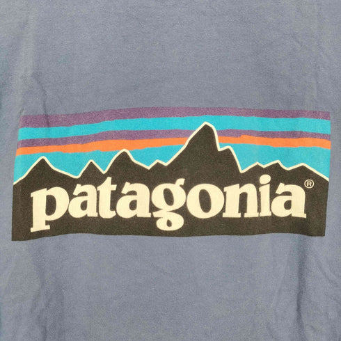 パタゴニア patagonia 00S P-6ロゴ 半袖Tシャツ メンズ import:S