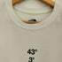 ザノースフェイス THE NORTH FACE TOMAMU TEE トマム 半袖 Tシャツ メンズ import:L