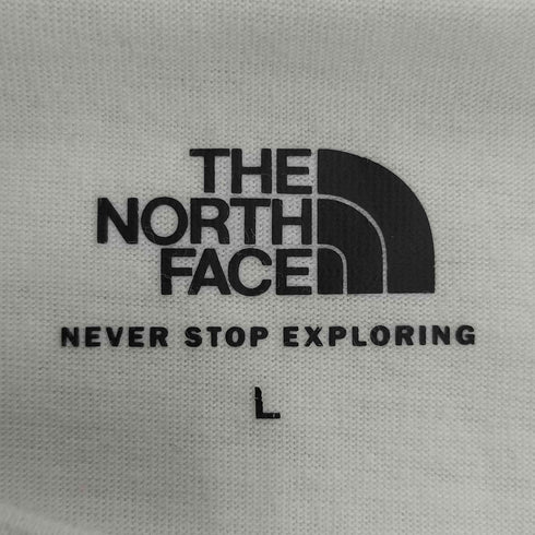 ザノースフェイス THE NORTH FACE TOMAMU TEE トマム 半袖 Tシャツ メンズ import:L