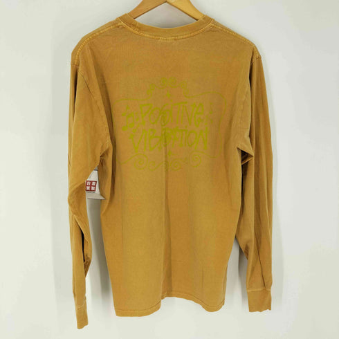 ステューシー Stussy Positive Vibration Pigment Dyed ロングスリーブTシャツ ロンT メンズ import:M
