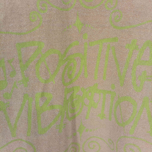 ステューシー Stussy Positive Vibration Pigment Dyed ロングスリーブTシャツ ロンT メンズ import:M