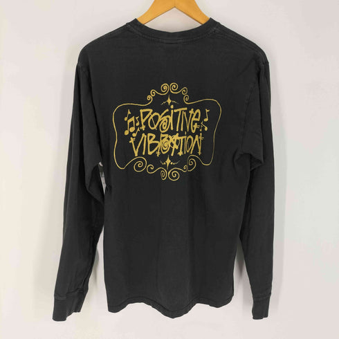 ステューシー Stussy Positive Vibration Pigment Dyed ロングスリーブTシャツ ロンT メンズ import:M