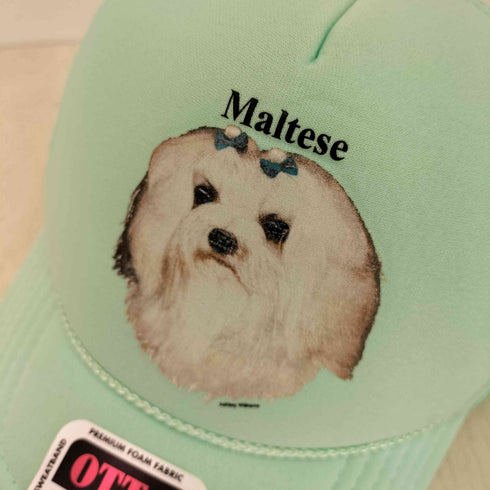Ashley Williams アシュリー ウィリアムズ Maltese Cap メッシュキャップ レディース