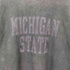 チャンピオン Champion 80s USA製 トリコタグ 2段 リバースウィーブ REVERSE WEAVE MICHIGAN STATE ミシガン カレッジ スウェット メンズ import:XXL