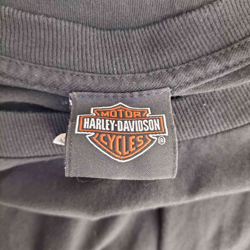 ハーレーダビッドソン HARLEY-DAVIDSON 袖 ロゴ プリント ロンT メンズ XL