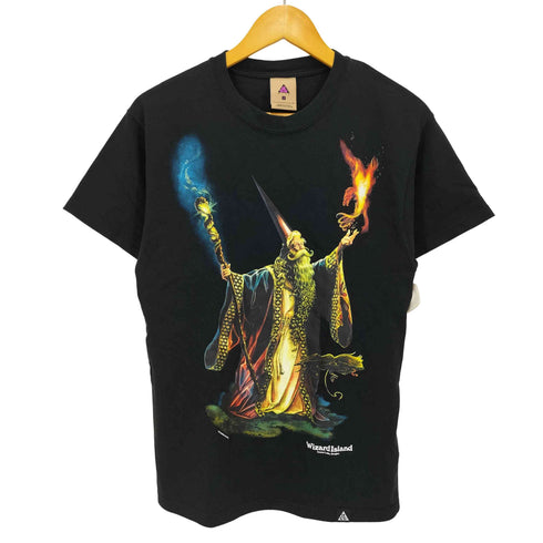 ナイキエーシージー NIKE ACG WIZARD TEE ウィザード Tシャツ メンズ import:S