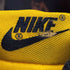 ナイキ NIKE GS Dunk Low Michigan ミシガン レディース JPN:24