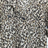 have a nice trip ヒョウ柄 S/S シャツ レディース JPN:M