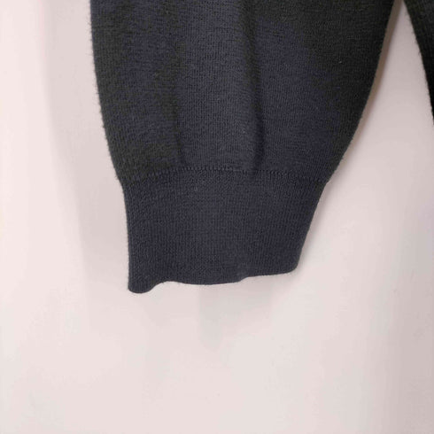 ポロバイラルフローレン Polo by RALPH LAUREN PIMA COTTON ポニー刺繍 Vネック ウールニット メンズ import:XXL