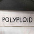 ポリプロイド POLYPLOID PULL LONGSLEEVE ロングスリーブ 長袖 ポロシャツ メンズ JPN:3
