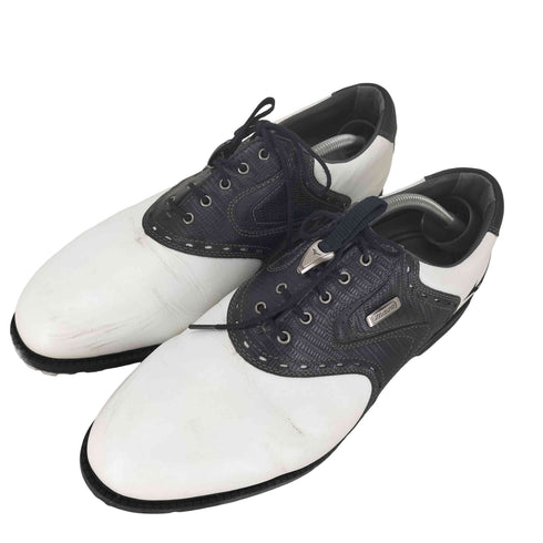 ミズノ MIZUNO ゴルフシューズ メンズ JPN:28
