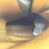 ブッテロ BUTTERO 9ホール サイドジップ レースアップ ワーク ブーツ メンズ 41