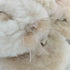 アグ UGG W FLUFF FLIP FLOP II フラッフ フリップ フロップ II レディース 23
