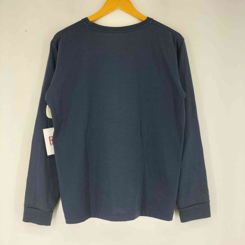 ザノースフェイス THE NORTH FACE ロングスリーブ スモールボックスロゴティー レディース JPN:XL
