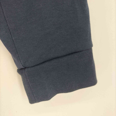 ザノースフェイス THE NORTH FACE ロングスリーブ スモールボックスロゴティー レディース JPN:XL