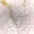 ミルク MILK Kitten キトン キャップ レディース FREE