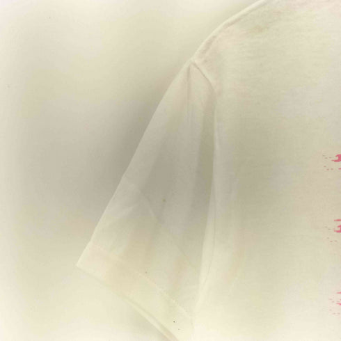 フルーツオブザルーム FRUIT OF THE LOOM バンドプリントクルーネックTシャツ メンズ import:S