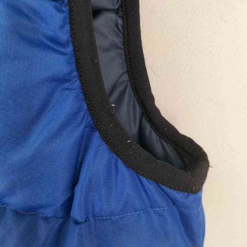 パタゴニア patagonia グースダウンベスト メンズ import:M