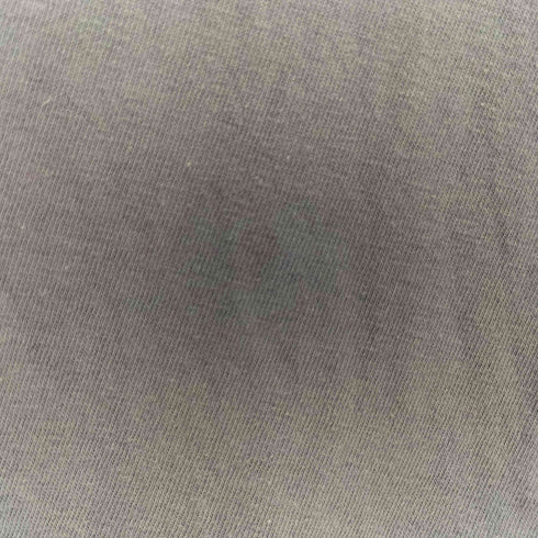 ネストローブ nest Robe UpcycleLinoBASIC 天竺ロングスリーブTシャツ メンズ JPN:2